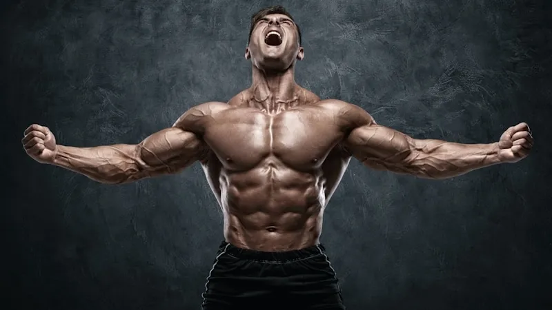 5 Day Workout Routine For Men To Build Muscle